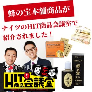 蜂の宝本舗 千葉テレビ ナイツ HIT商品会議室 紹介